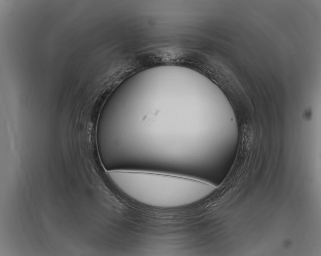 X0000096130650200801180830