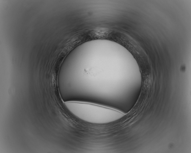 X0000096130651200801180830