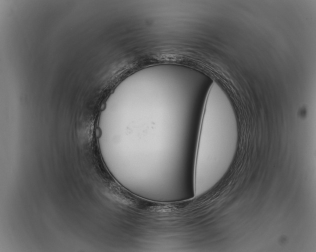 X0000096130652200801180830