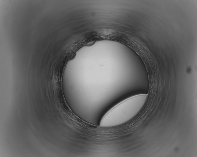 X0000096130653200801180830