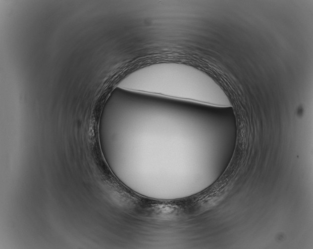 X0000096130654200801180830