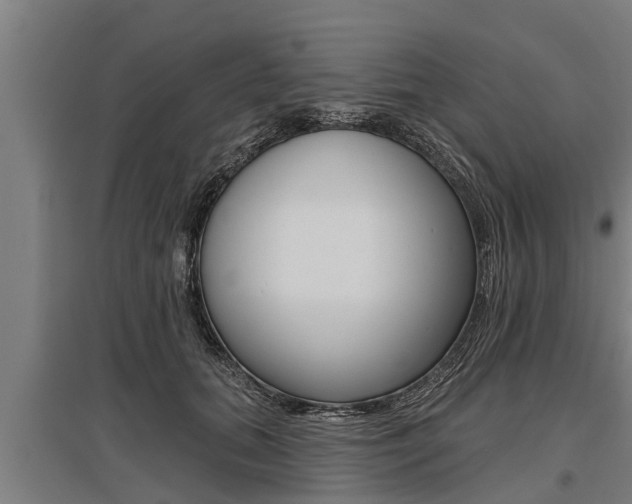 X0000096130655200801180830