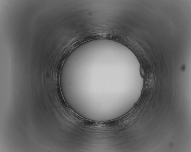 X0000096130656200801180830