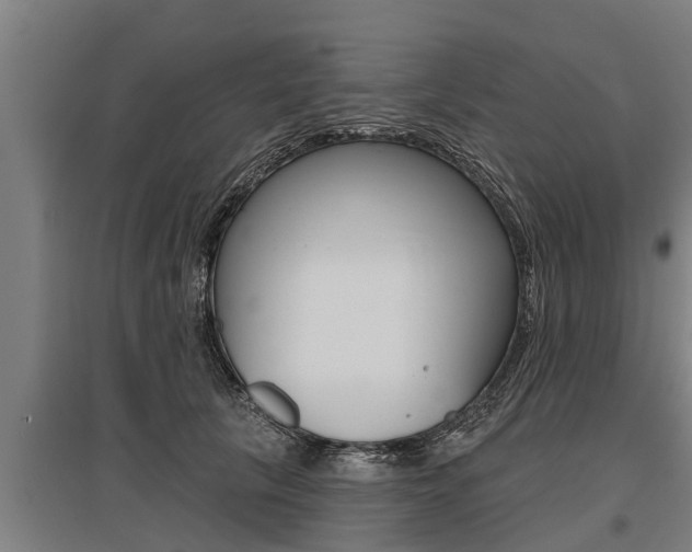 X0000096130657200801180830