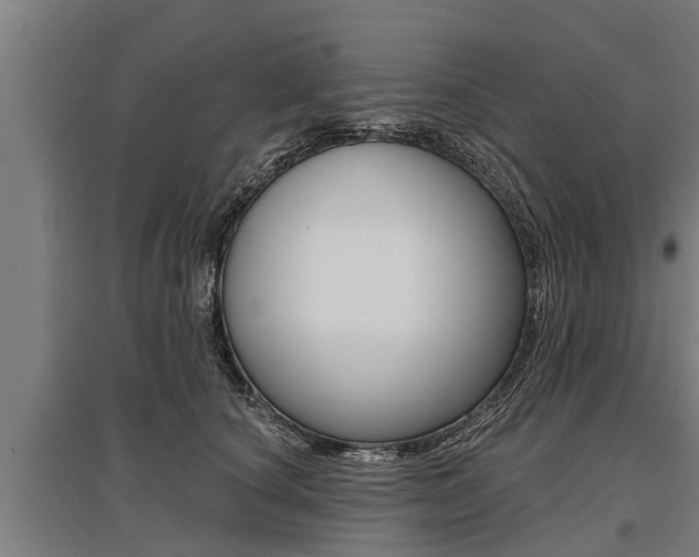 X0000096130660200801180830