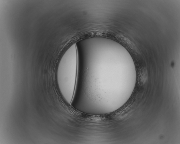 X0000096130661200801180830