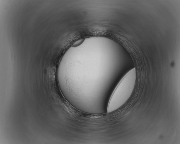 X0000096130664200801180830