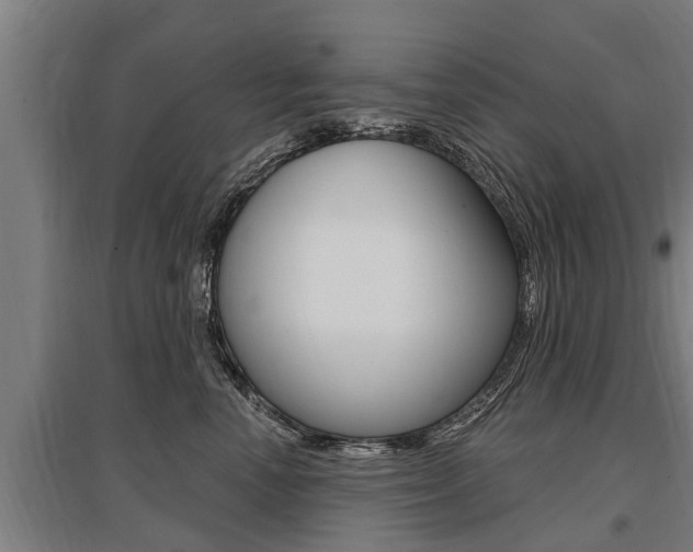 X0000096130666200801180830