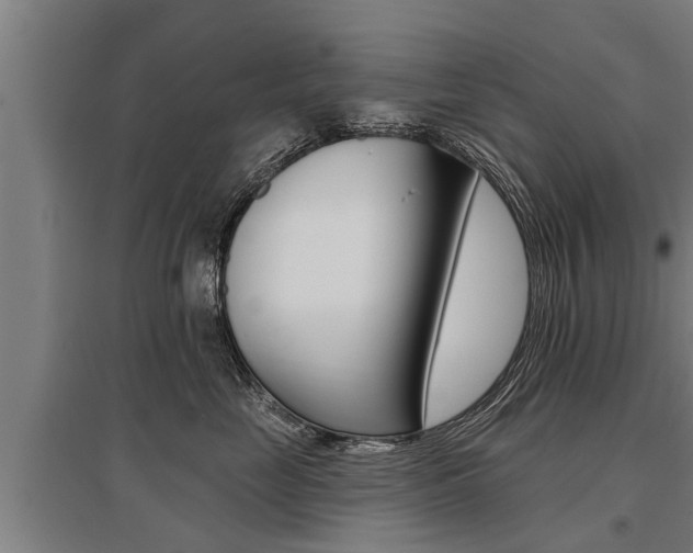 X0000096130669200801180830