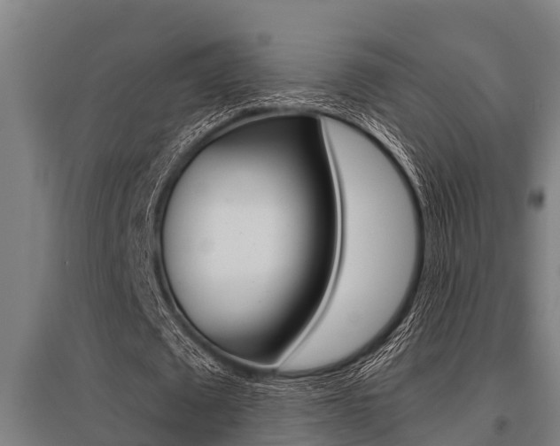 X0000096130673200801180830