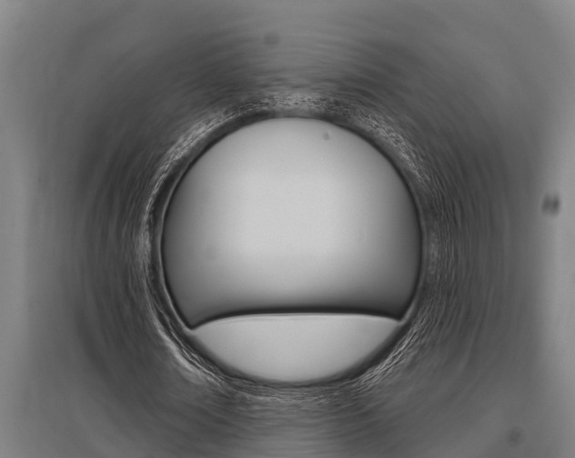 X0000096130674200801180830