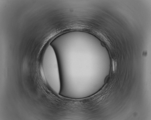X0000096130675200801180830