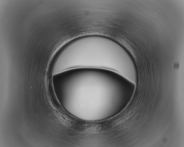 X0000096130676200801180830