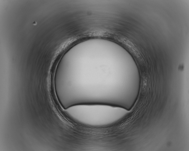 X0000096130678200801180830