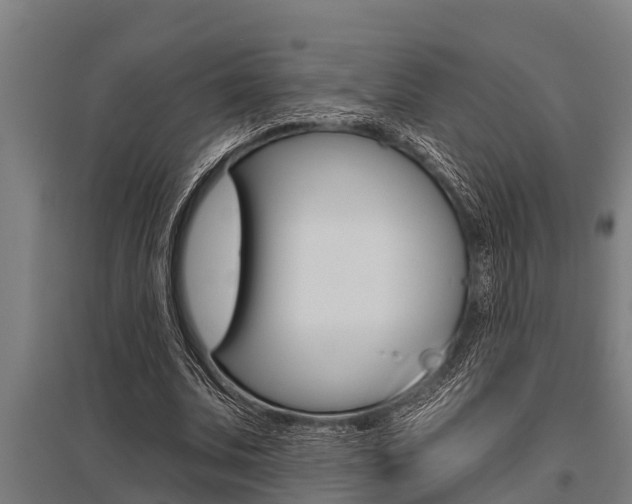 X0000096130679200801180830