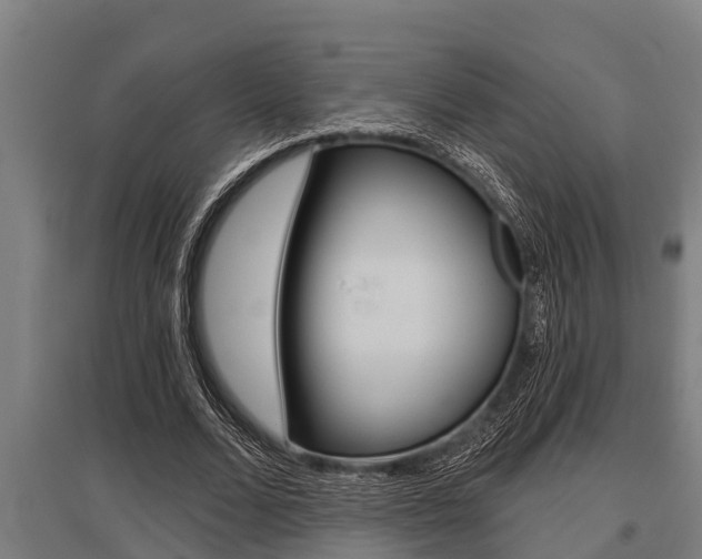 X0000096130680200801180830