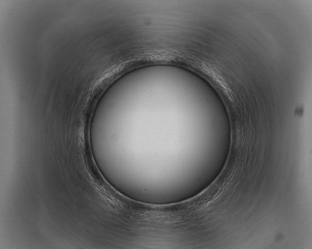 X0000096130681200801180830