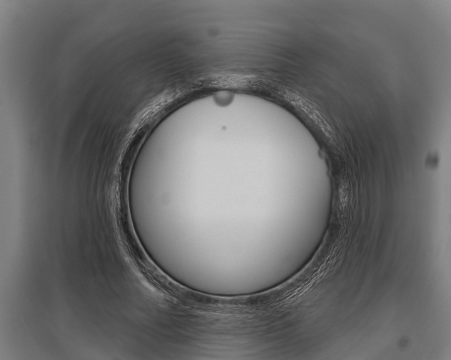 X0000096130682200801180830