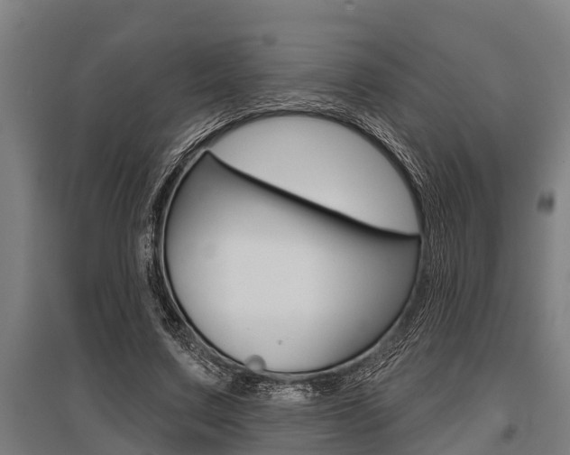 X0000096130683200801180830