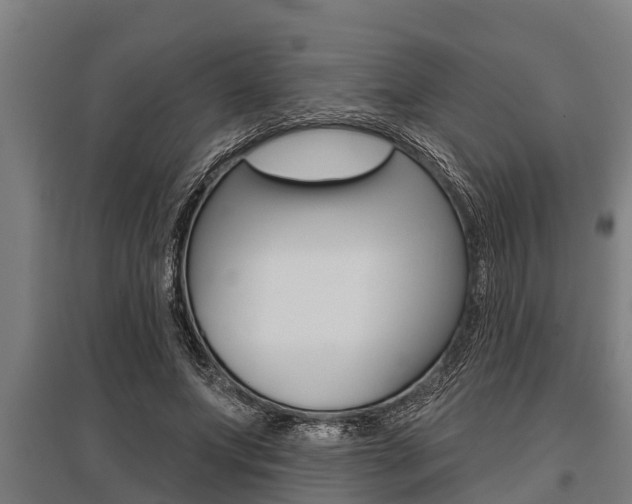 X0000096130687200801180830