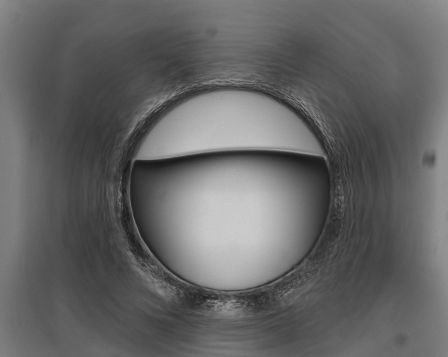 X0000096130688200801180829