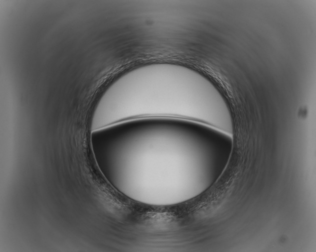 X0000096130689200801180829