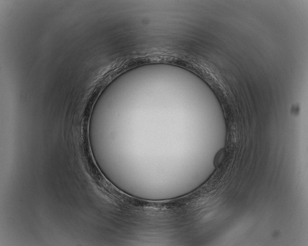 X0000096130690200801180829