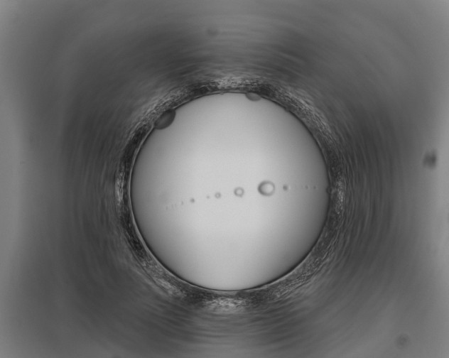 X0000096130691200801180829