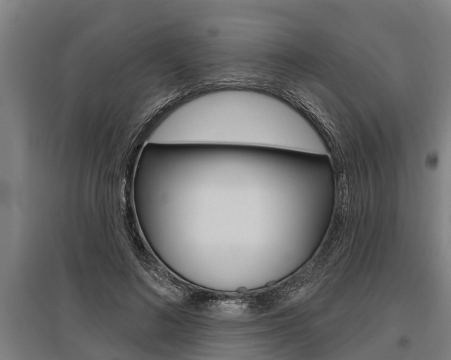 X0000096130692200801180829