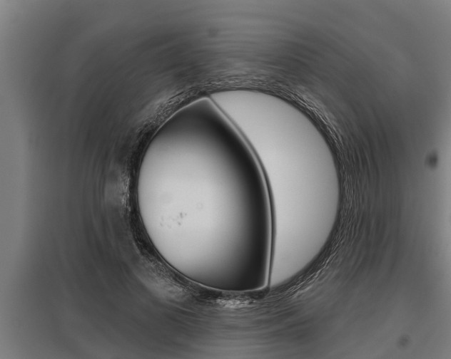X0000096130693200801180829
