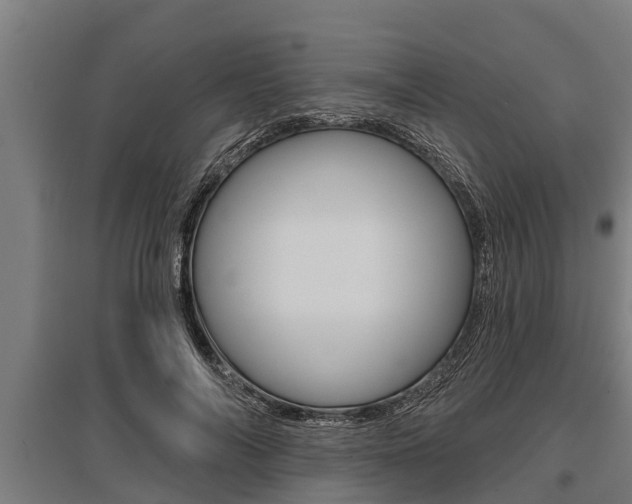X0000096130694200801180829