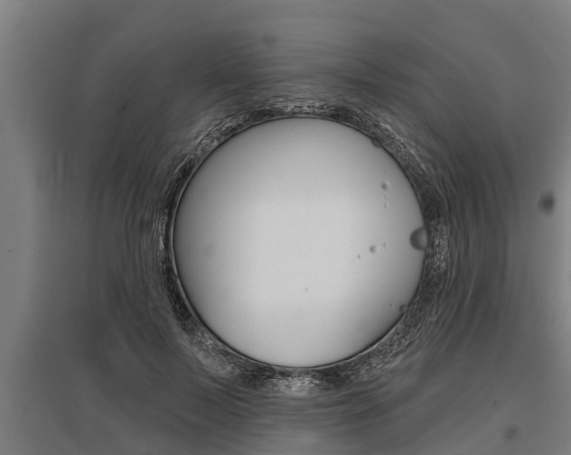 X0000096130695200801180829