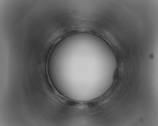 X0000096130696200801180829