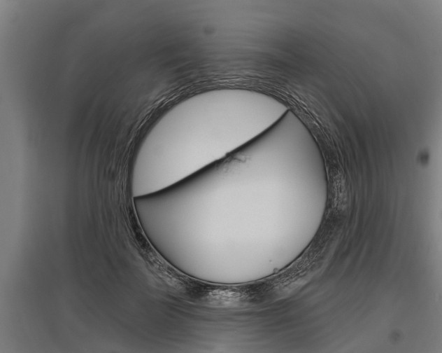 X0000096130699200801180829