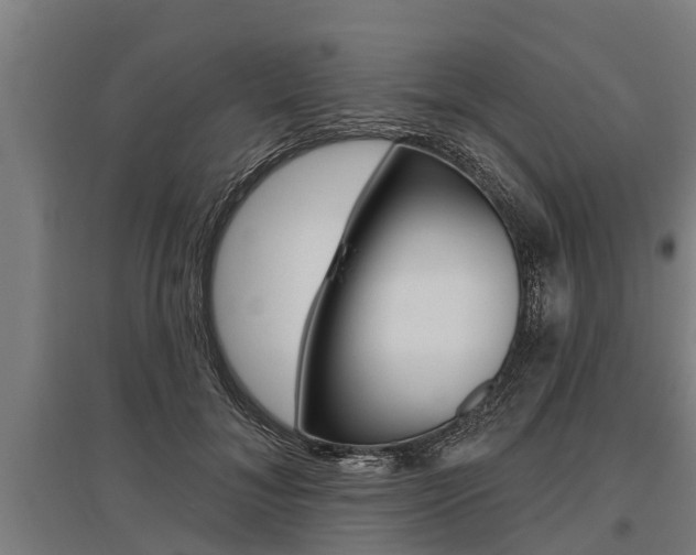 X0000096130700200801180829
