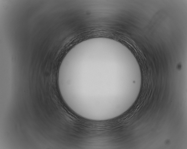 X0000096130701200801180829