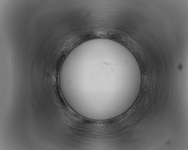 X0000096130702200801180829