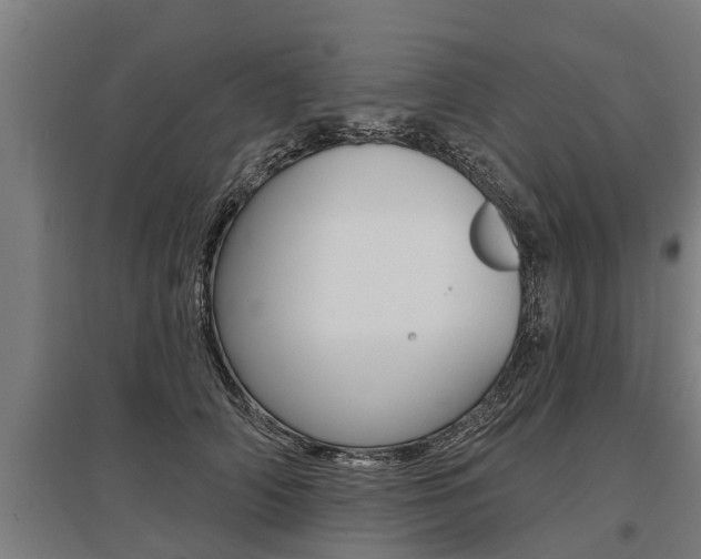 X0000096130706200801180829