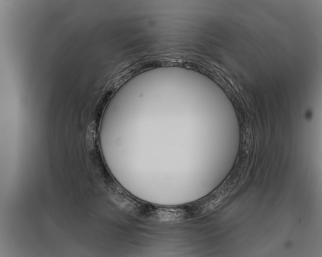 X0000096130707200801180829