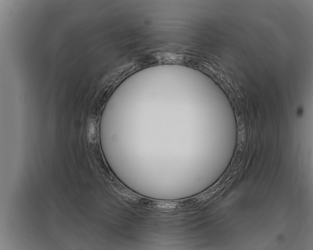 X0000096130709200801180829