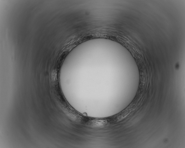 X0000096130711200801180829