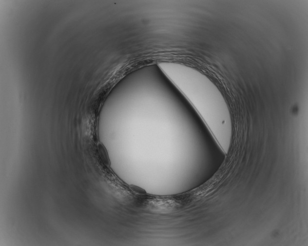 X0000096130712200801180829