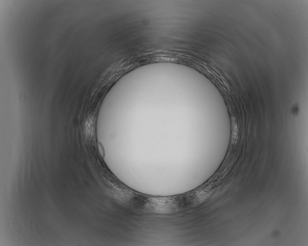 X0000096130713200801180829
