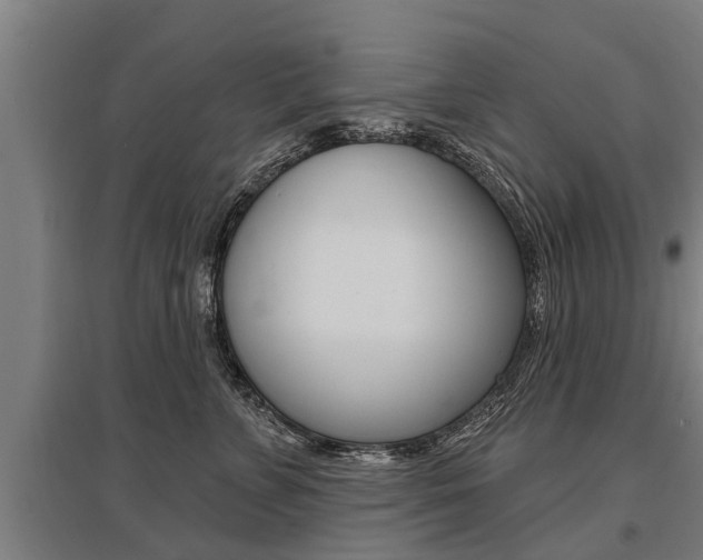 X0000096130715200801180829