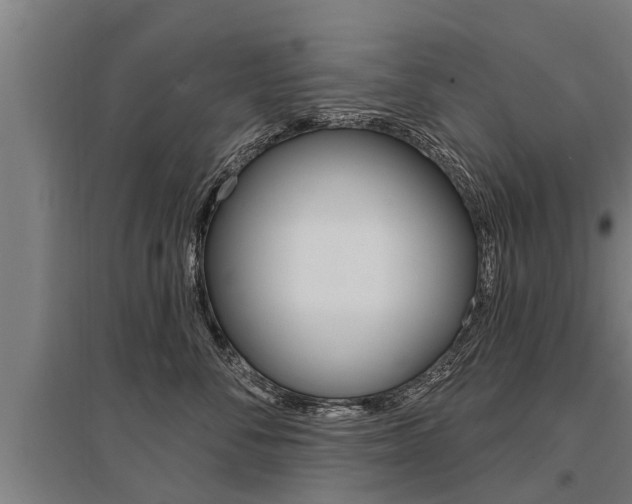 X0000096130716200801180829