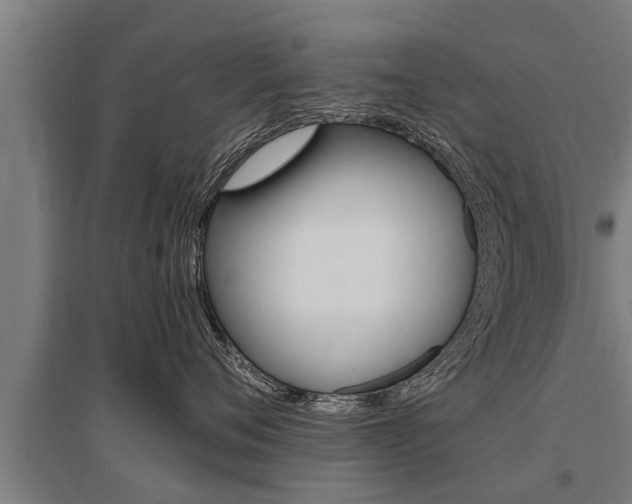 X0000096130720200801180829