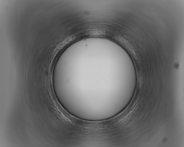 X0000096130721200801180828