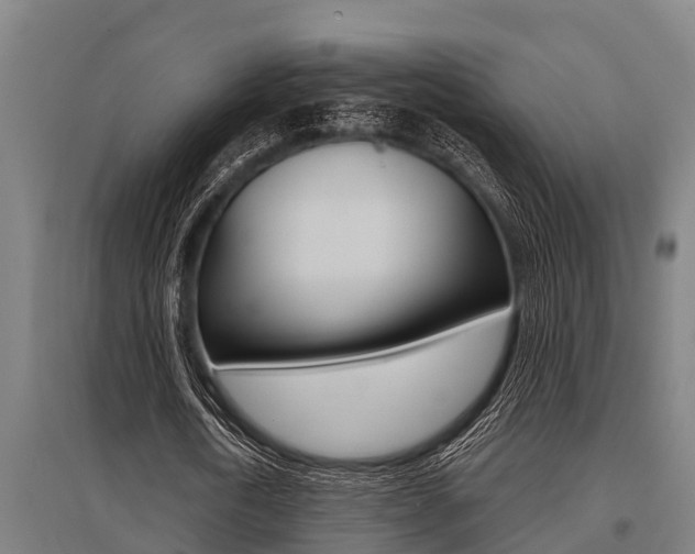 X0000096130722200801180828