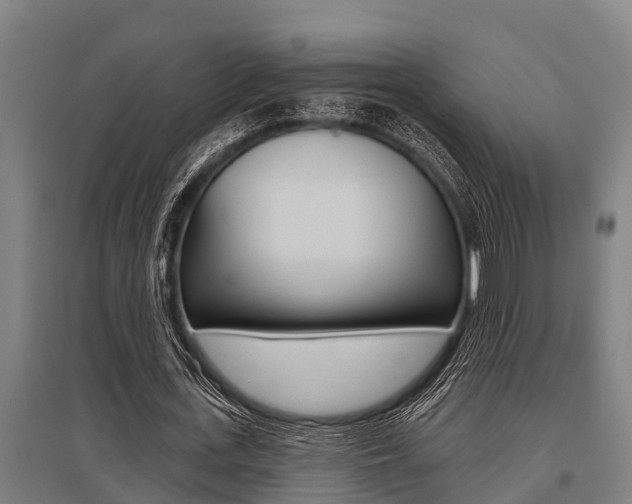 X0000096130723200801180828
