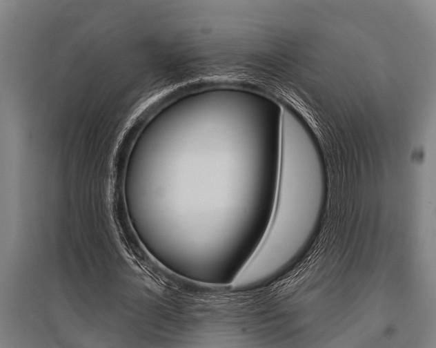 X0000096130724200801180828
